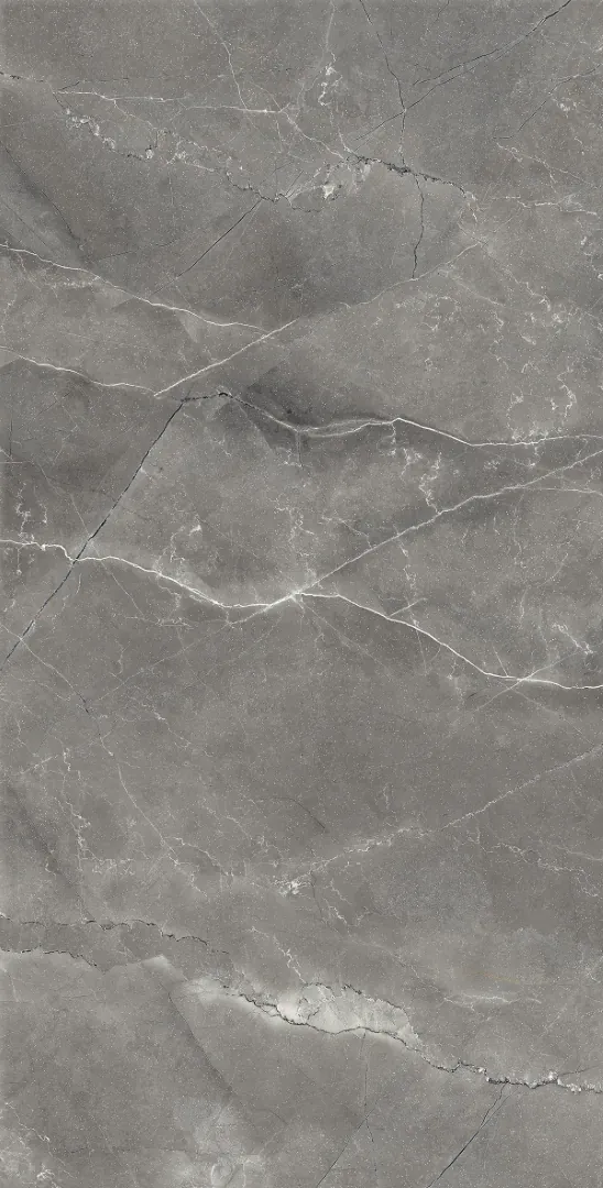 Керамогранит Аркадия Керамика cl4002-a pulpis nero carving lappato серый 60x120