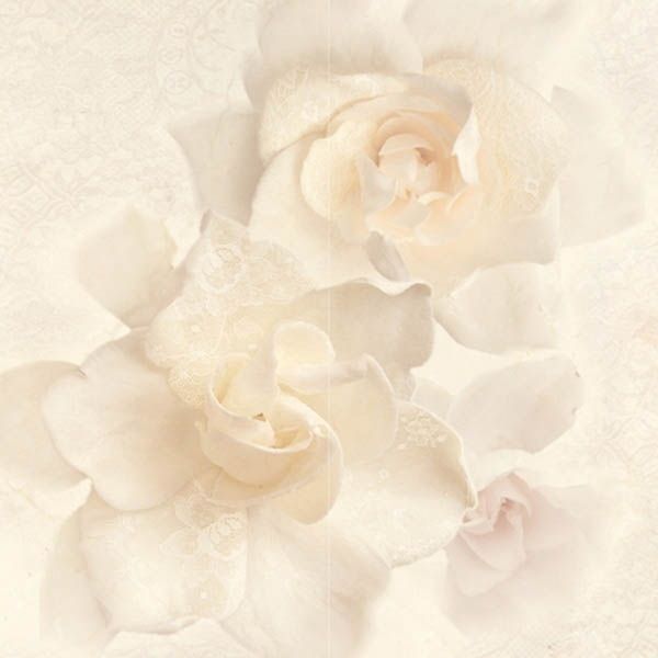 Керамическая плитка dec.alobras pack2 50x50