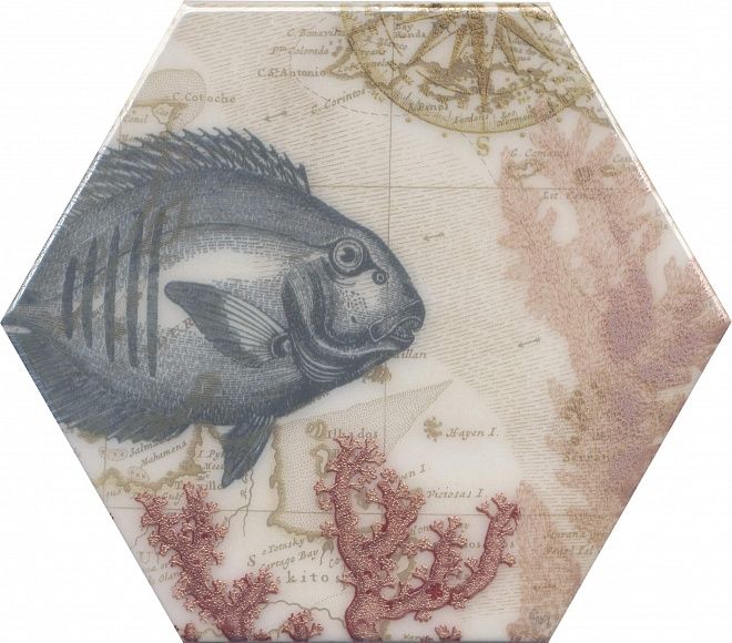 Керамическая плитка Декор Эль Салер hgd\a336\24020 20x23,1