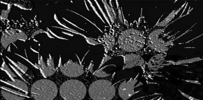 Керамическая плитка Дива 24,9x50