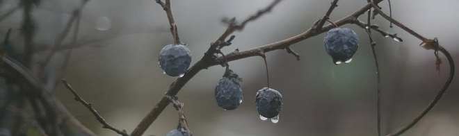 Керамическая плитка Декор Тракай 8 глянцевый 8,5x28,5