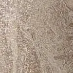 Керамогранит Привиледж/ privilege Гриджио 610090000765 