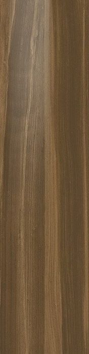 Керамогранит астон вуд эльм лаппато 22x88