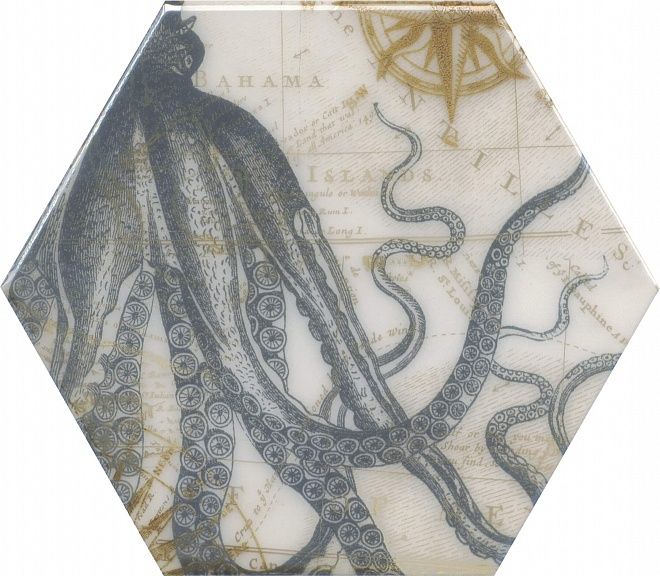 Керамическая плитка Декор Эль Салер hgd\a335\24020 20x23,1