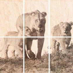 Керамическая плитка селлинг панно 01 60x60