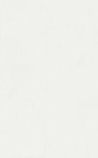 Керамическая плитка петергоф белый 6304 25x40