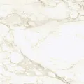 Керамогранит coliseumgres Микеланджело/ michelangelo Ворм Рет 610010002745 Белый 60x120