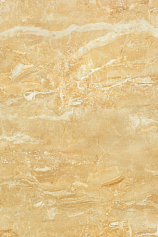 Sal Sapiente АММ 6941 жёлтый для гостиной для кухни для прихожей для ванной