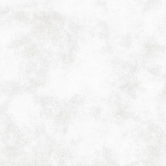 Alma Ceramica (Уралкерамика) Керамогранит Alma Ceramica Соул GFU6060SUL00R белый белый 