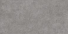Керамическая плитка alma ceramica Дискавер twu2550dcv70 серый 24.9x50 24.9x50
