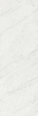 Керамическая плитка Борсари белый обрезной 12103r 25x75