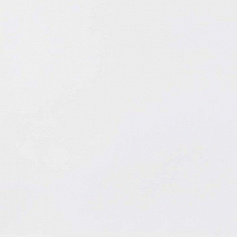 Porcelanosa Matt White Pav. белый 