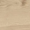 Керамогранит Артвуд/ artwood 01 19,4x120