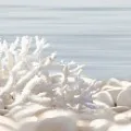 Керамическая плитка Декор Альма Керамика Дель Маре/ del mare dwu09dlm624 24.9x50