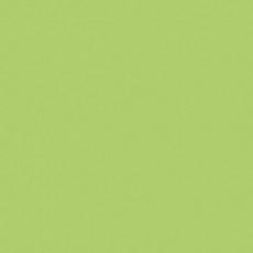 Керамогранит greencolors lime 20 20x20
