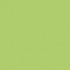 Atlas Concorde Greencolors Lime 20 зеленый 