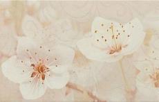 Керамическая плитка сакура коричневый декор 03 25x40