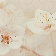 Керамическая плитка сакура коричневый декор 03 25x40