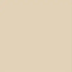 Керамогранит alma ceramica Спектор gfu6060spr50r бежевый 60x60