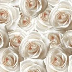 Керамическая плитка камелия декор 25x50