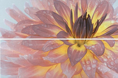 Керама Марацци Панно Искья Цветы обрезной розовый для ванной