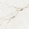 Керамогранит lasselsberger Блюм/ blum 6260-0016 Белый 30x60 30x60