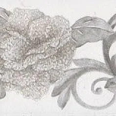 Керамическая плитка Бордюр Марсо hgd\b274\11120r 7,2x30