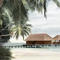 Керамическая плитка Панно Альма Керамика Айленд/ ailand из 2 плиток pwa11ald4 разноцветный 40x60