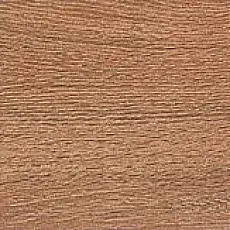 Керамогранит Вяз коричневый 9,9x40,2