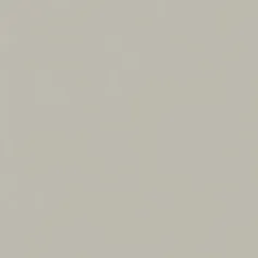 Керамогранит Италон Форум/ forum Слим Сильвер 610010004198 Серый 120x120