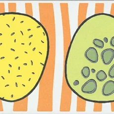 Керамическая плитка Бордюр kerama marazzi os\a247\5009 Динозаврики 1 матовый 6.3x20