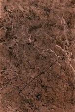 Керамическая плитка кристиан спутник 20x30