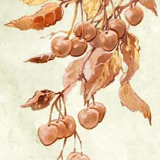 Керамическая плитка enna chery декор 22,3x44,8