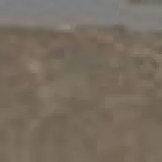 Керамогранит С.С. Грей 610130000474 7,2x60