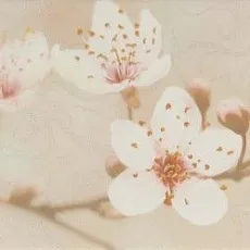 Керамическая плитка сакура коричневый декор 02 25x40