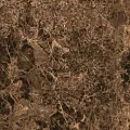 Керамогранит Этерна/ eterna Браун 60x60