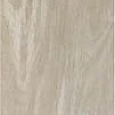 Керамогранит Рейниер Арена 20x120