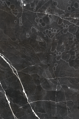 Sal Sapiente АММ 6931 чёрный для гостиной для кухни для прихожей для ванной