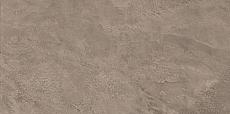 Керамогранит форс грей 610010001395 60x120