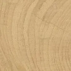 Керамогранит Тайм ring Хани 20x60