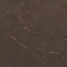 Керамическая плитка Марбл/ marble marron 24,9x50
