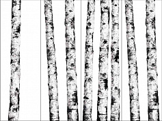 Kerlite Ritmi A1, B2, C3 белый 