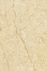 Sal Sapiente АММ 6949 бежевый для гостиной для кухни для прихожей для ванной