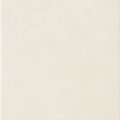 Керамическая плитка zirconium Вайт настенная 22,3x44,8