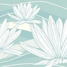 Керамогранит Флюэнс 24,9x50