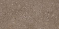Керамогранит Дайсен коричневый обрезной sg211400r 30x60
