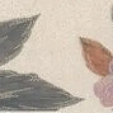 Керамогранит Бордюр Ломбардиа 6x40