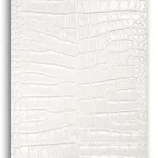 Керамическая плитка queensway Вайт настенная 29,8x59,8