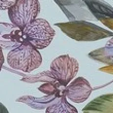 Керамическая плитка Бордюр Бела-Виста обрезной 14,5x89,5