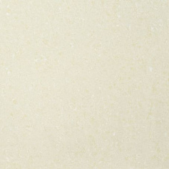 Sal Sapiente Шампань ПВ бежевый для гостиной для кухни для офиса для прихожей